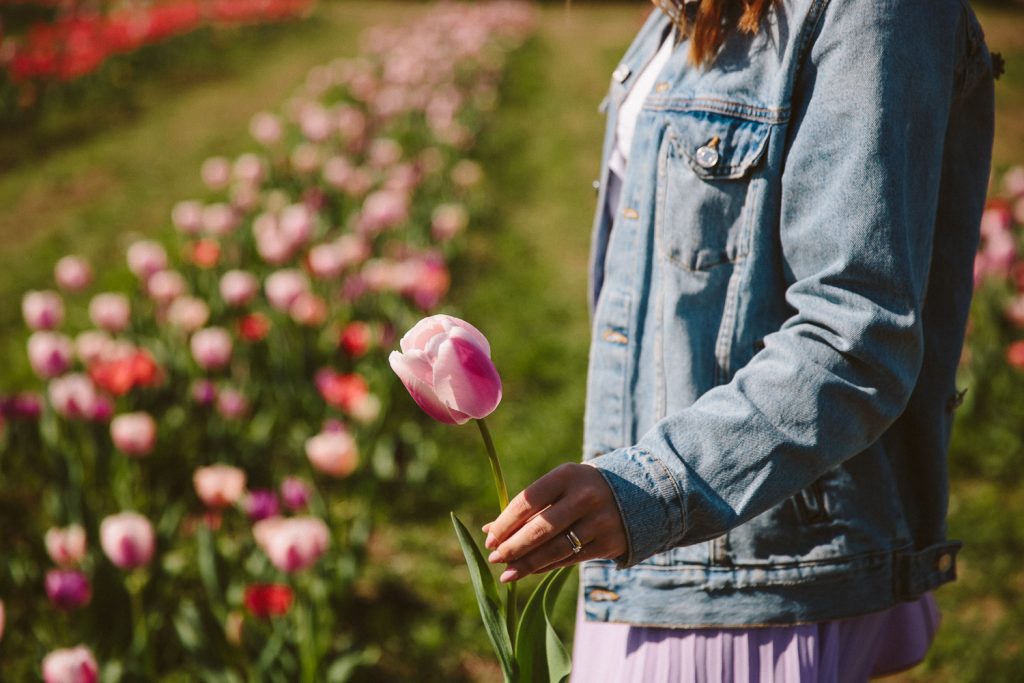 Un giardino di tulipani a Roma: Bentornato Tulipark!
